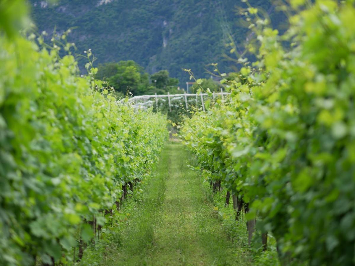 Agriturismo Casa Di Campagna Рива-дель-Гарда Екстер'єр фото