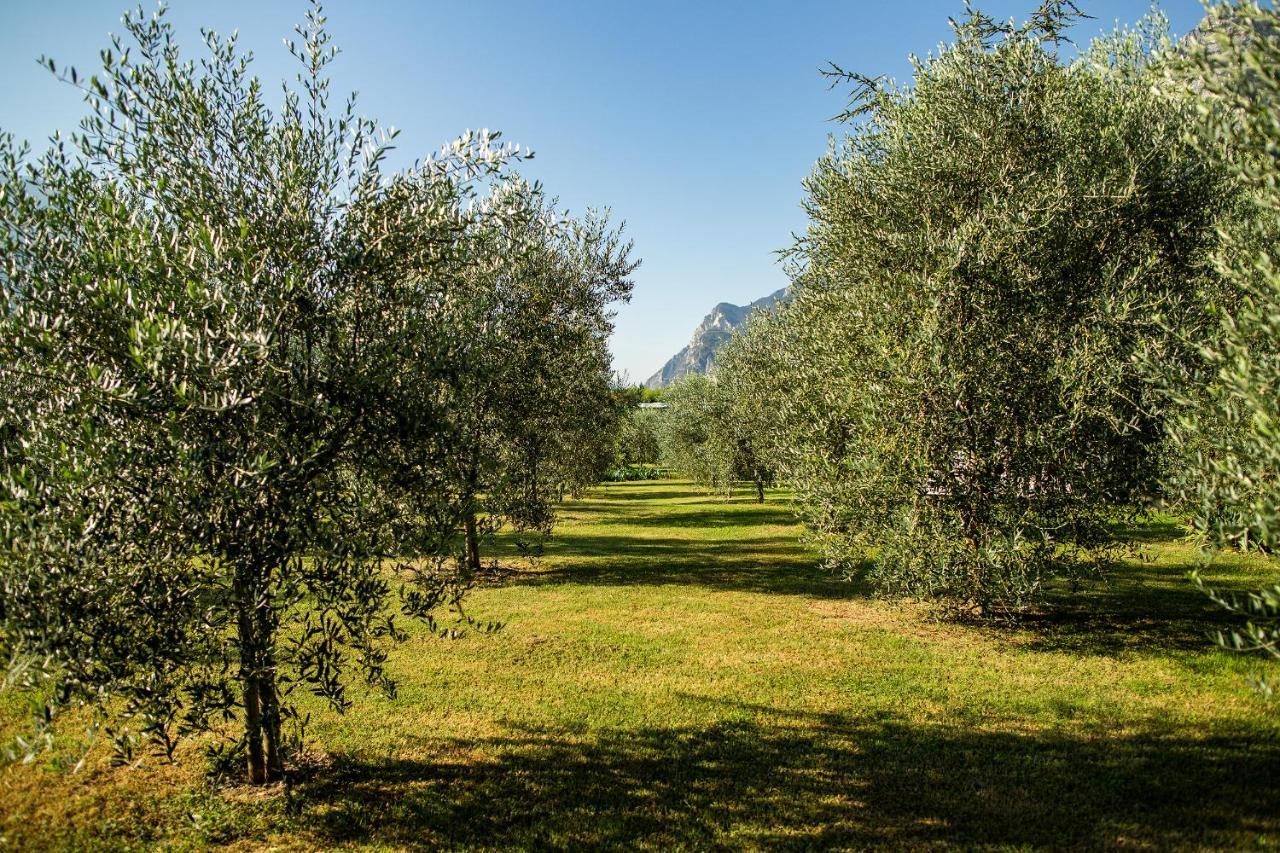 Agriturismo Casa Di Campagna Рива-дель-Гарда Екстер'єр фото