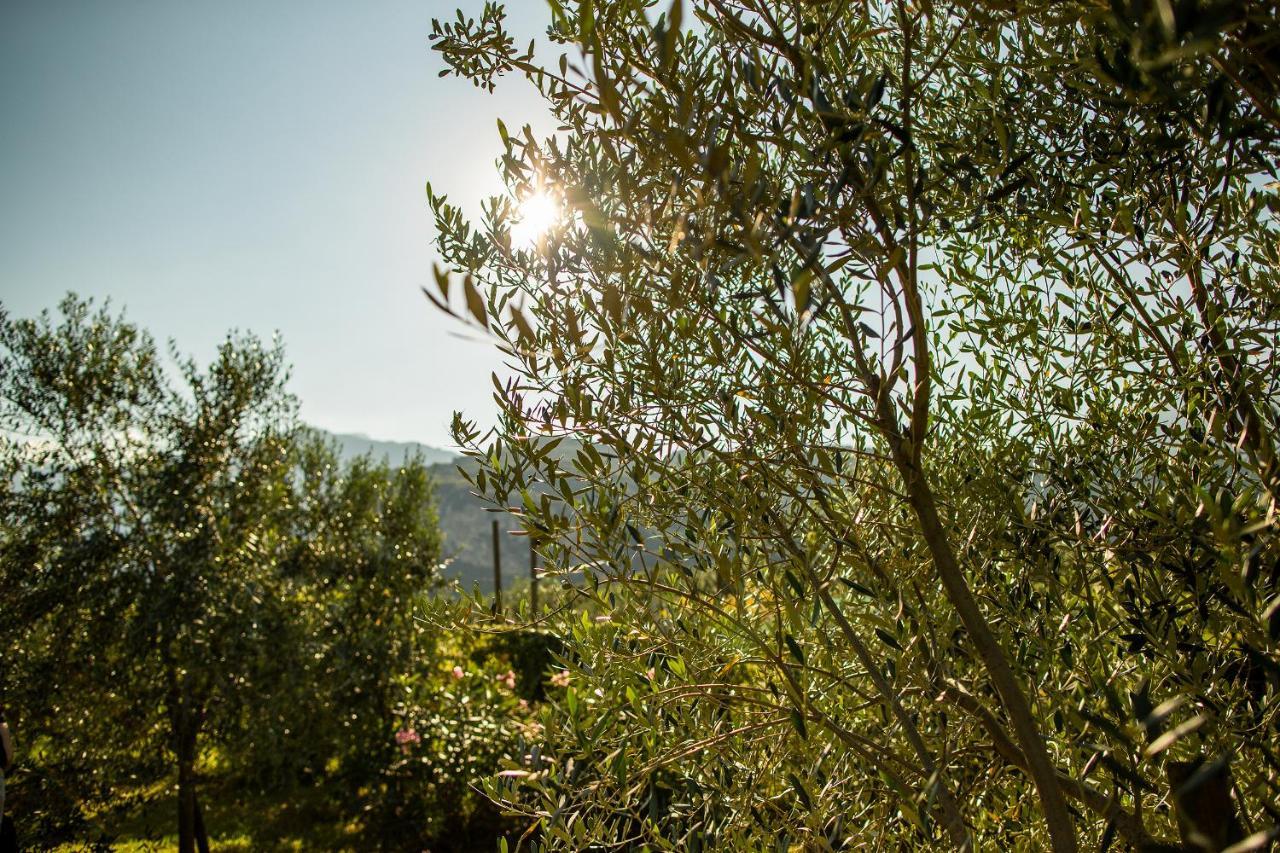 Agriturismo Casa Di Campagna Рива-дель-Гарда Екстер'єр фото